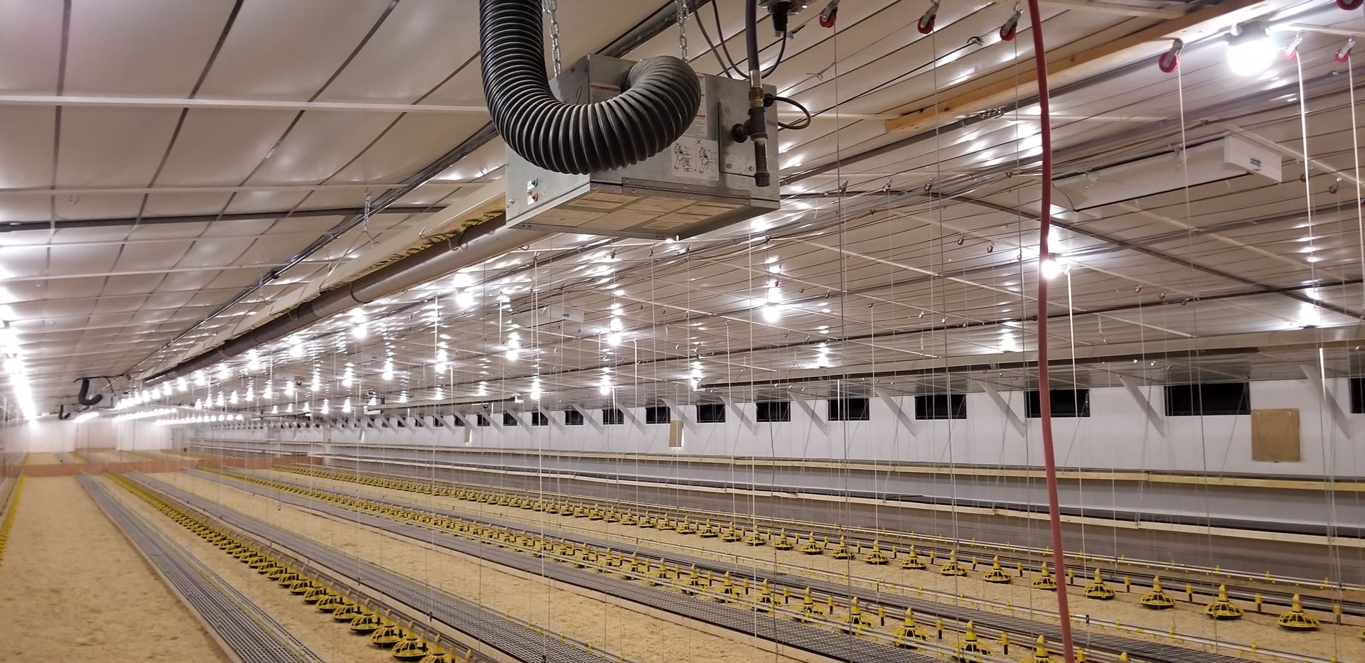 Pullet Zeiset Equipment