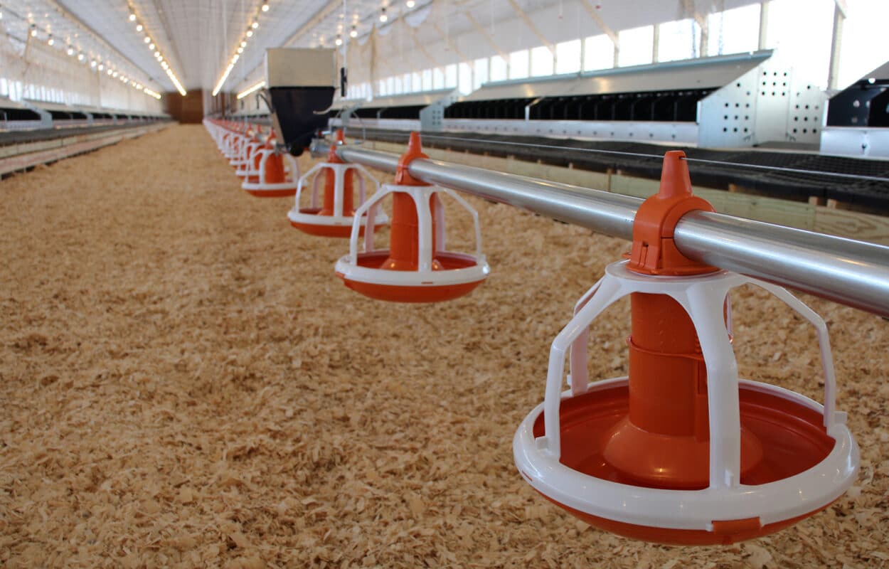 Breeder Zeiset Equipment