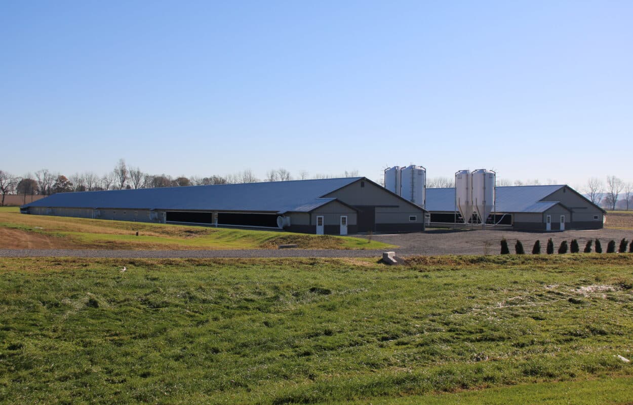 Broiler Zeiset Equipment